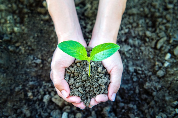 Agriculture durable : un enjeu de taille