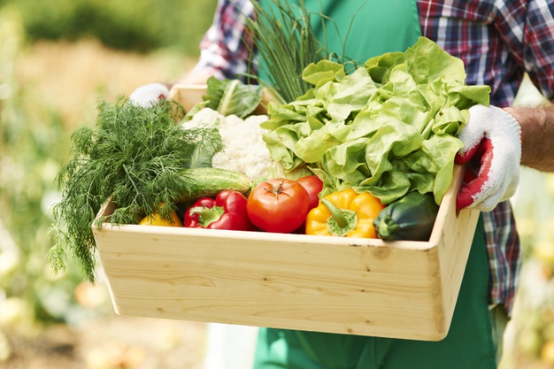 L’alimentation bio apporte des intérêts particuliers