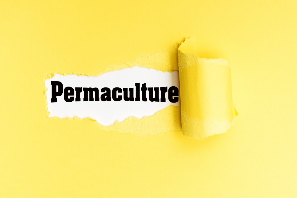 Agriculture durable : nourrir le monde sans nuire à la Terre