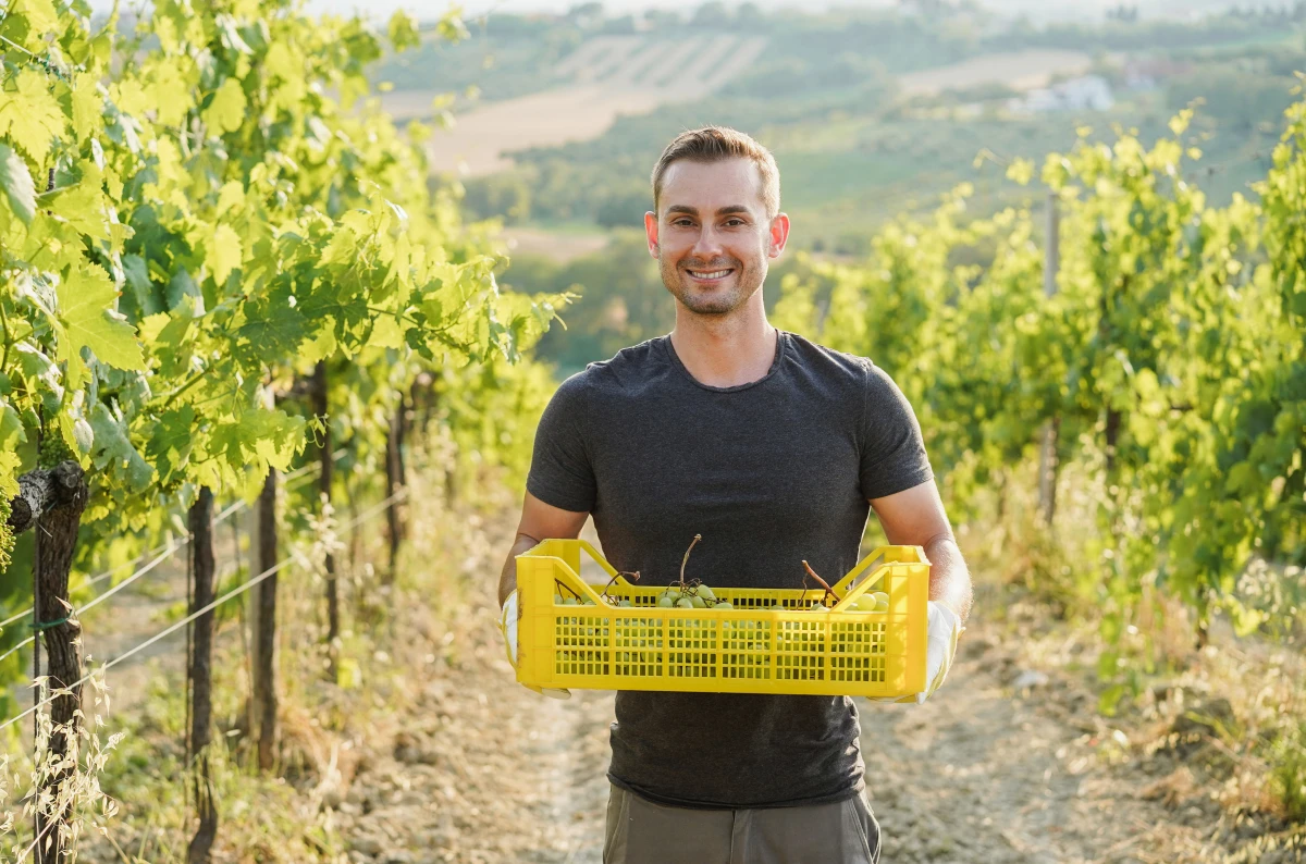L'agriculture biodynamique : un nouveau souffle pour l'environnement et la qualité des produits