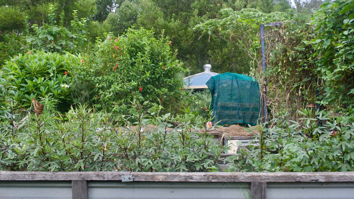 Permaculture : Révolutionner l'agriculture grâce à ses principes et applications