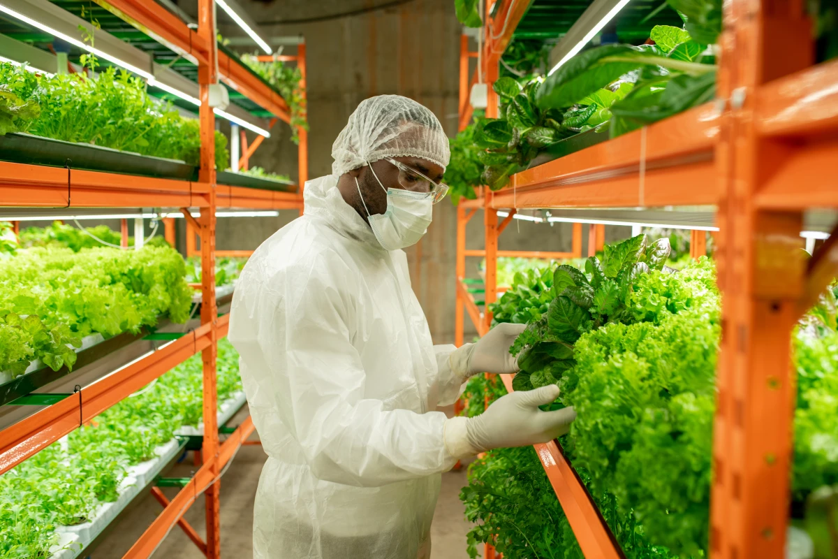 Agriculture de conservation : Préserver nos sols pour un avenir durable