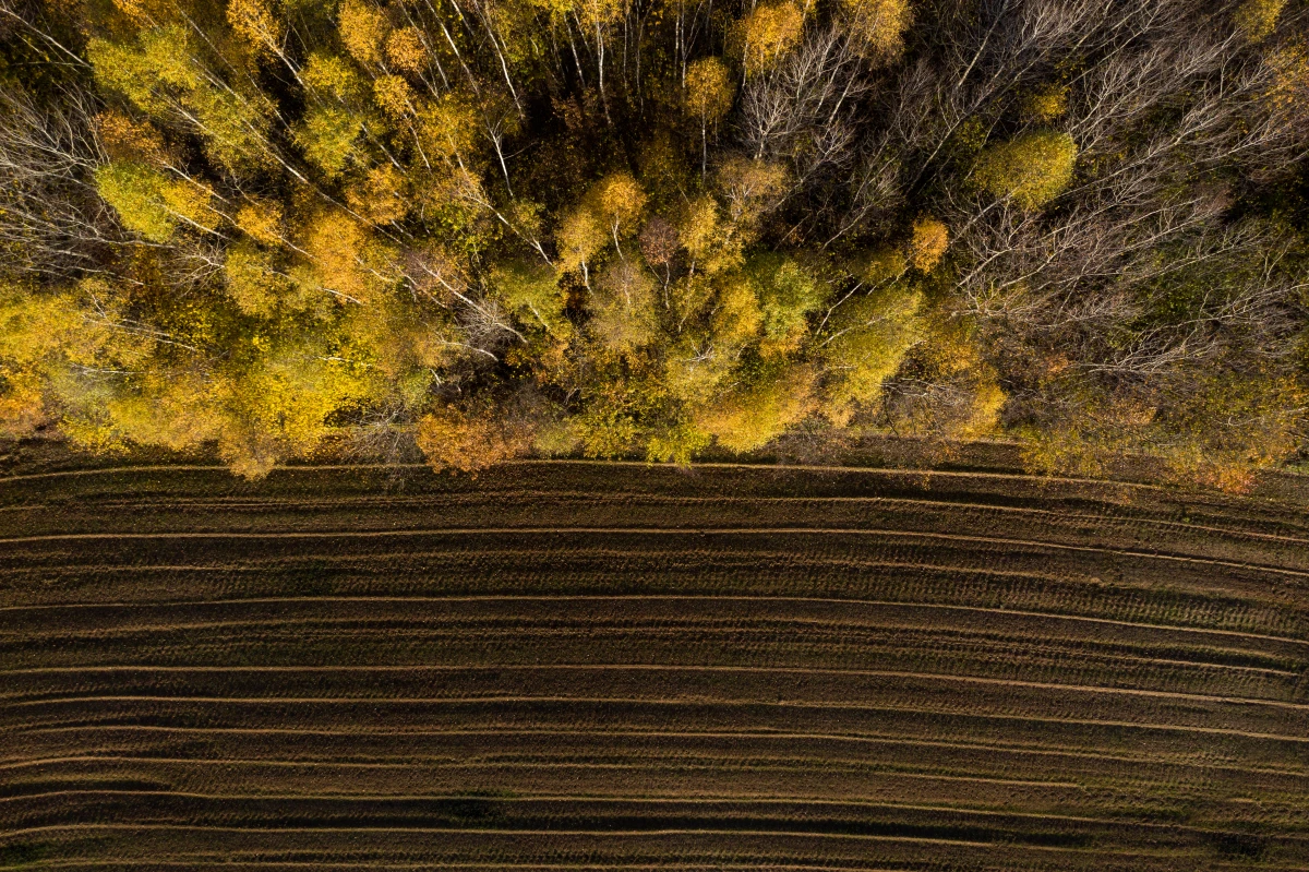 L'agriculture et la perte de biodiversité : comment concilier conservation et production ?