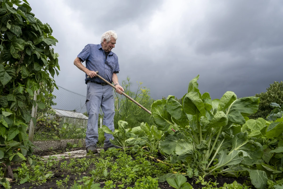 Alimentation et changement climatique : le lien indissociable entre diète et environnement
