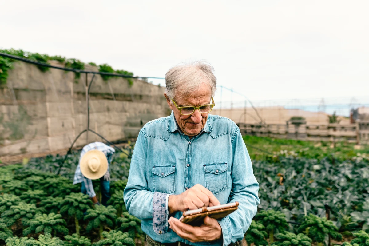 Circuits courts en agriculture : catalyseurs d'un développement durable