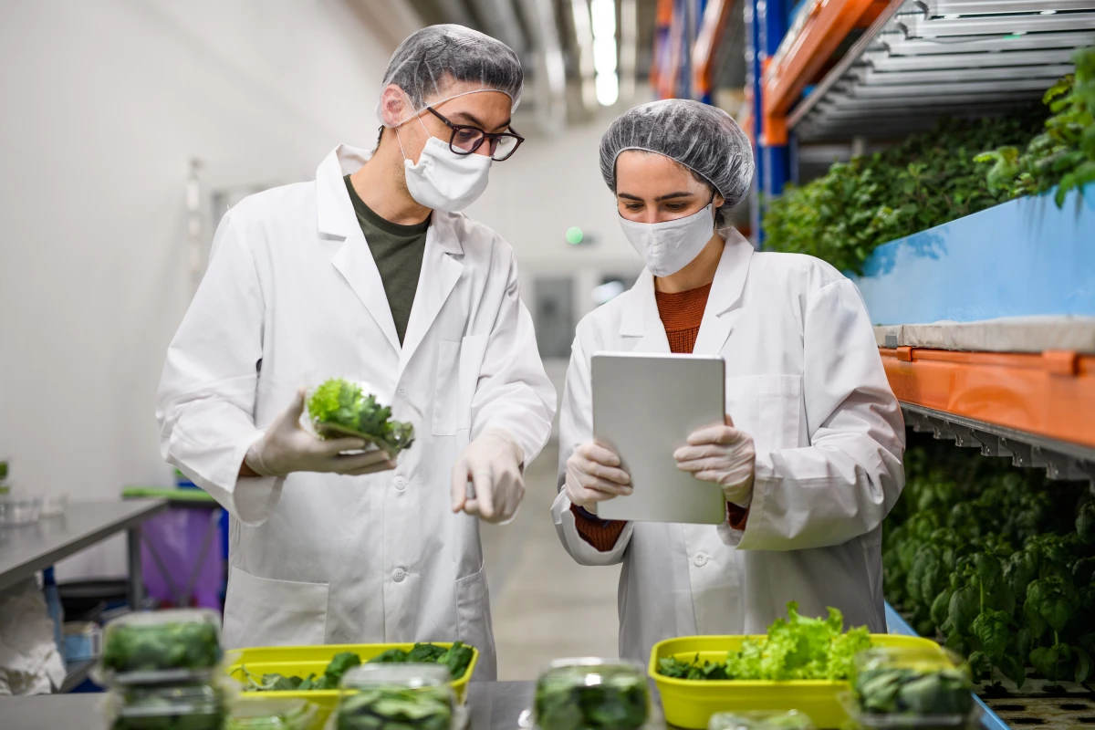 L'aquaponie : vers une agriculture intégrée et durable