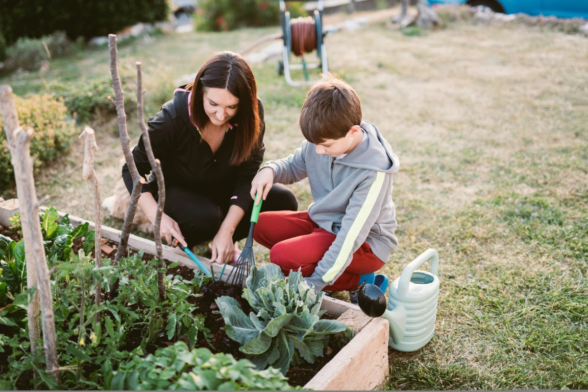 La révolution verte dans votre jardin : permaculture et autonomie alimentaire