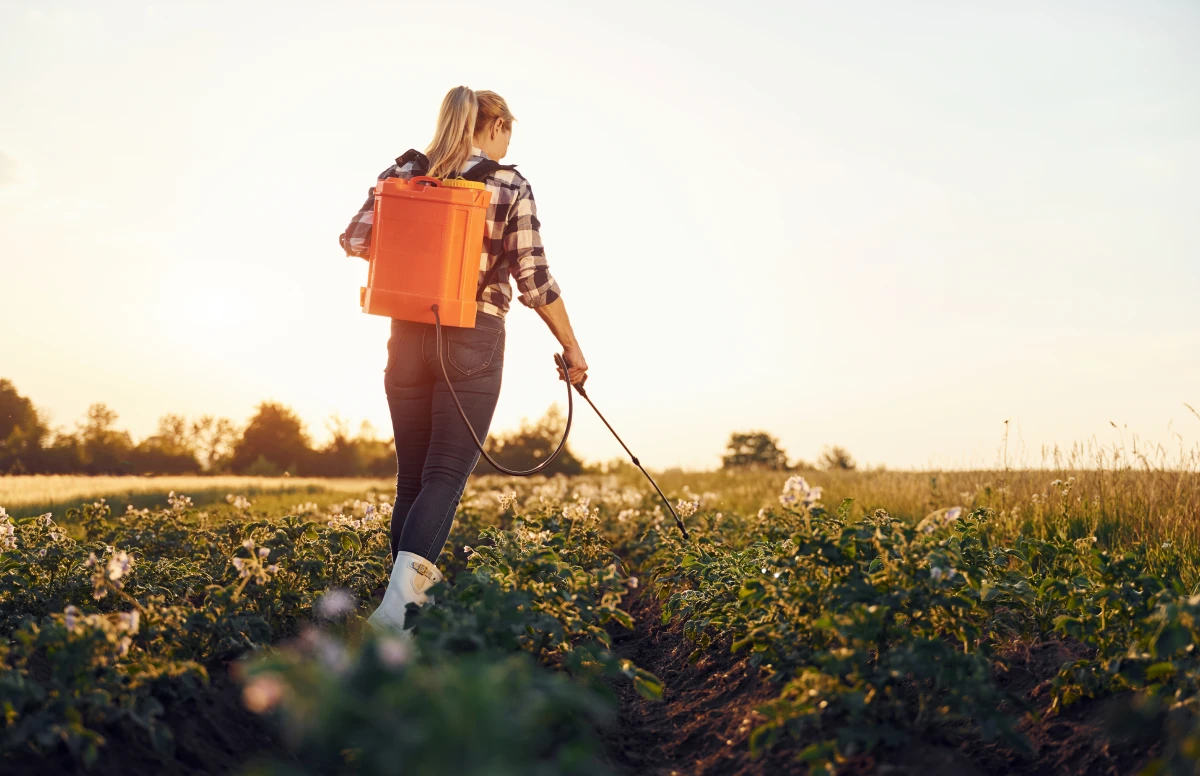 Révolutionner l'agriculture : Les techniques durables qui façonnent notre avenir alimentaire