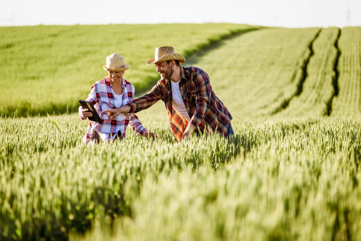 Vers une agriculture plus verte : la révolution de l'empreinte carbone