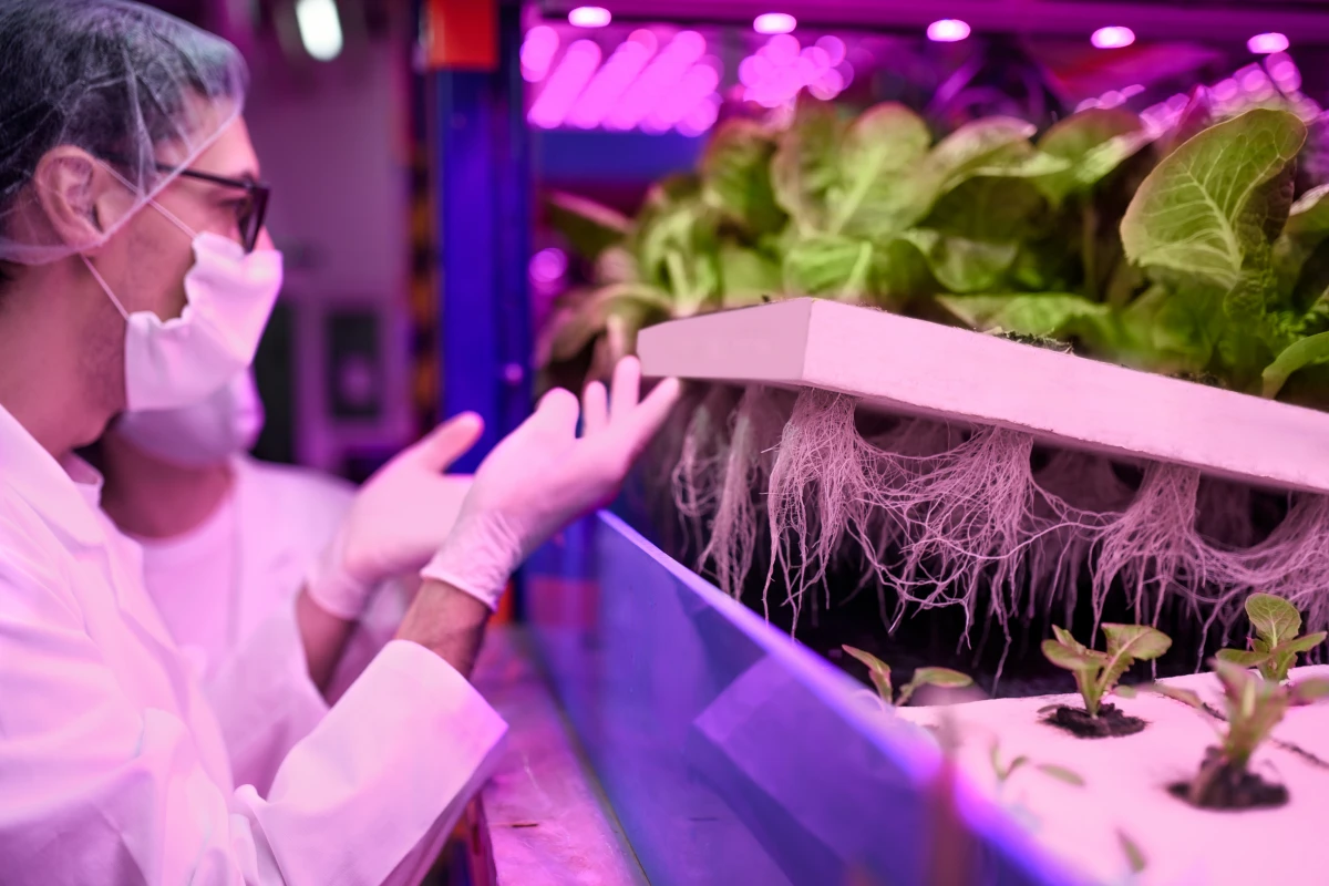 L'Aquaponie : Une Révolution Verte pour Nourrir le Monde