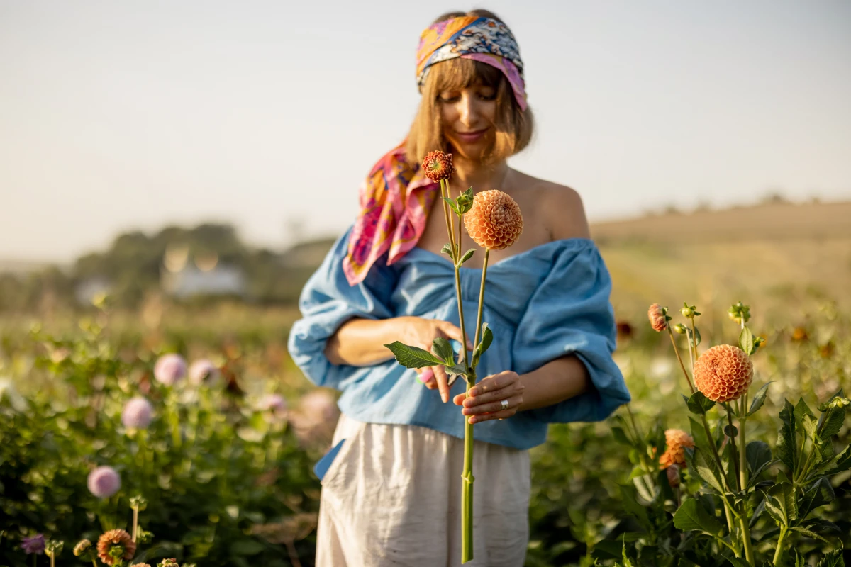 La rotation des cultures : La clé d'une agriculture durable et productive