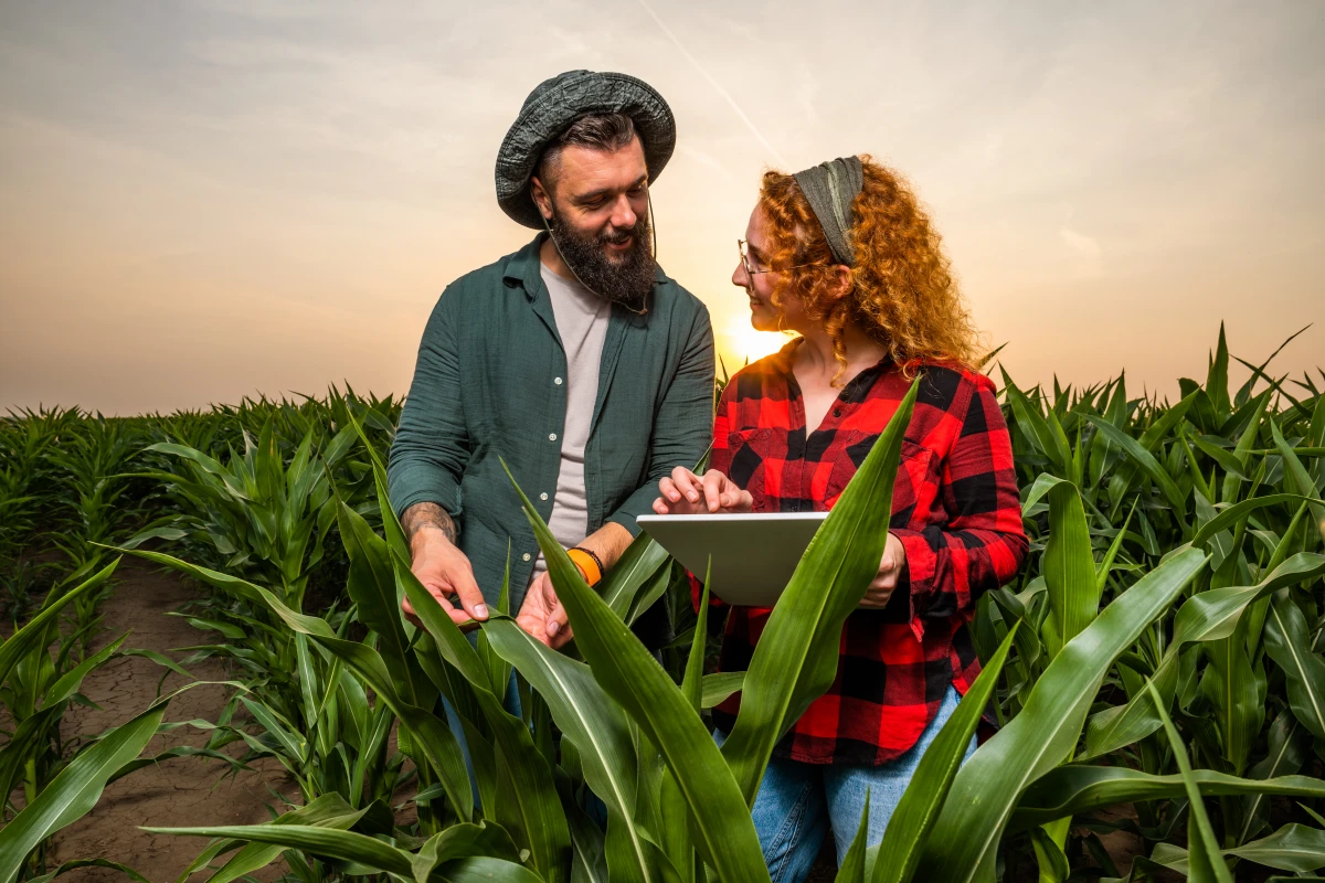 L'Agriculture Régénérative : Une Révolution Verte pour Sauver le Climat