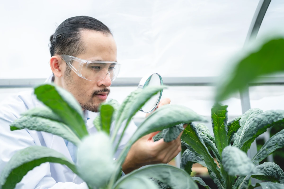 L'agroécologie, clé de voûte de notre sécurité alimentaire future