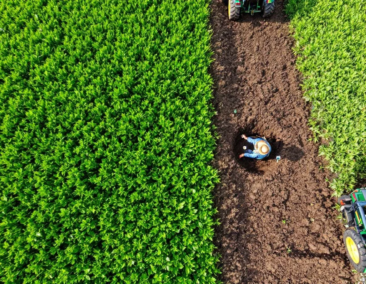 Agriculture de conservation et séquestration du carbone : une symbiose vertueuse pour le climat