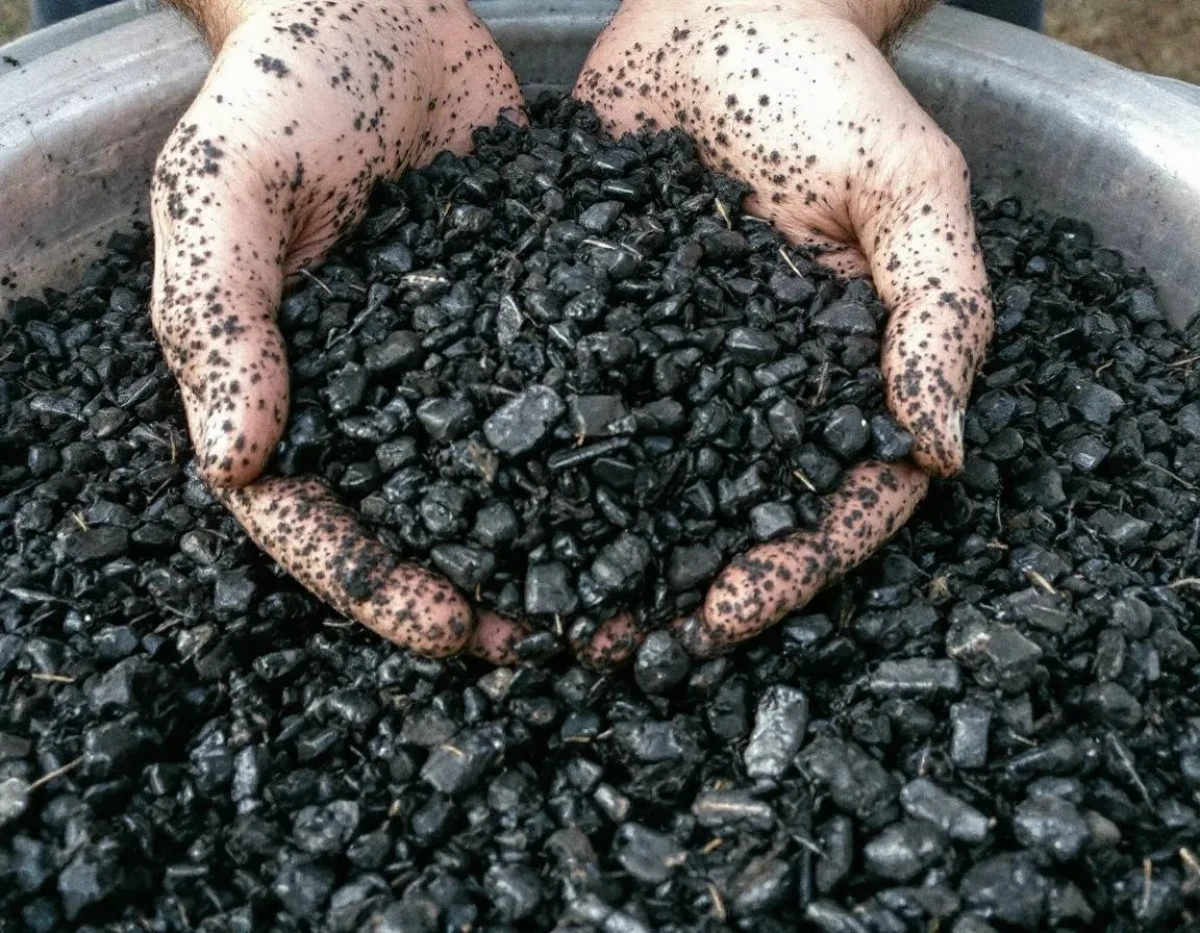 Utilisation des biochar pour améliorer les sols pauvres